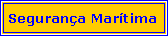 Text Box: Seguran�a Mar�tima